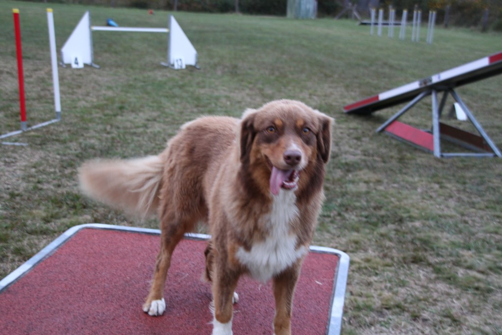 souvenirs-2014 JPG (337)