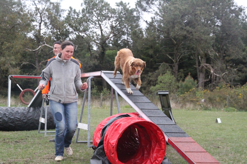 souvenirs-2014 JPG (34)