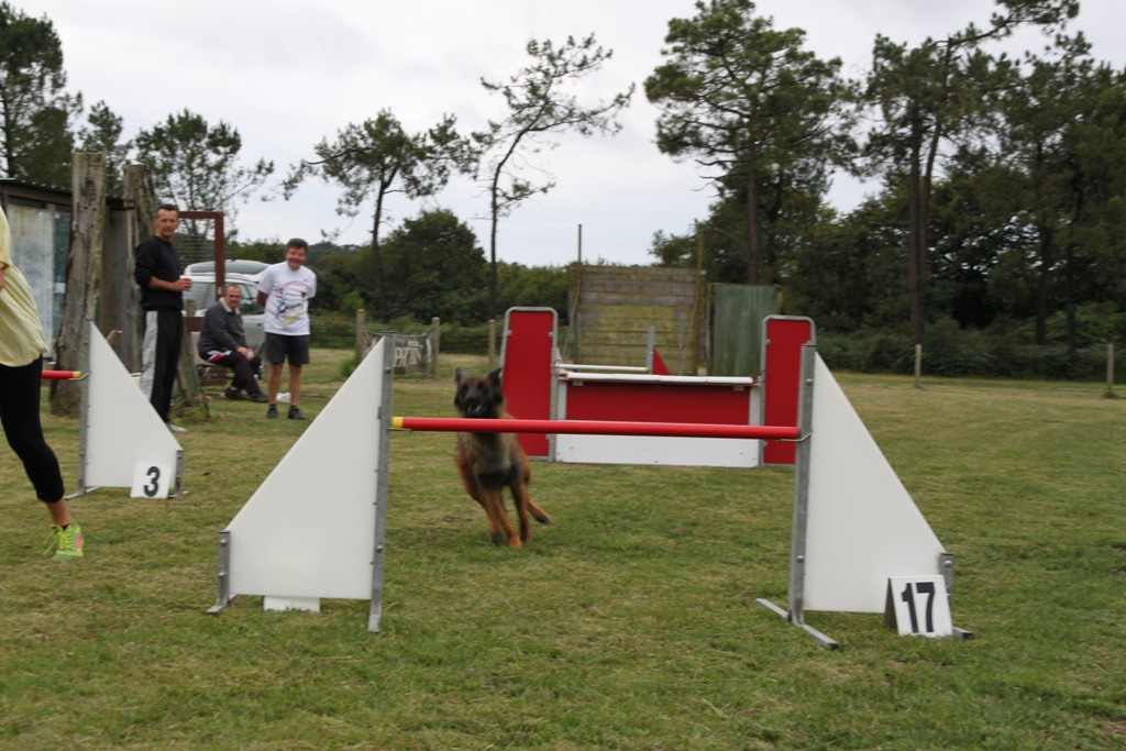 souvenirs-2014 JPG (340)