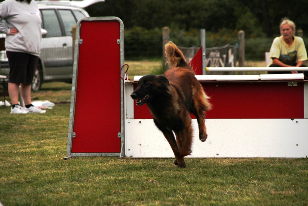 souvenirs-2014 JPG (342)