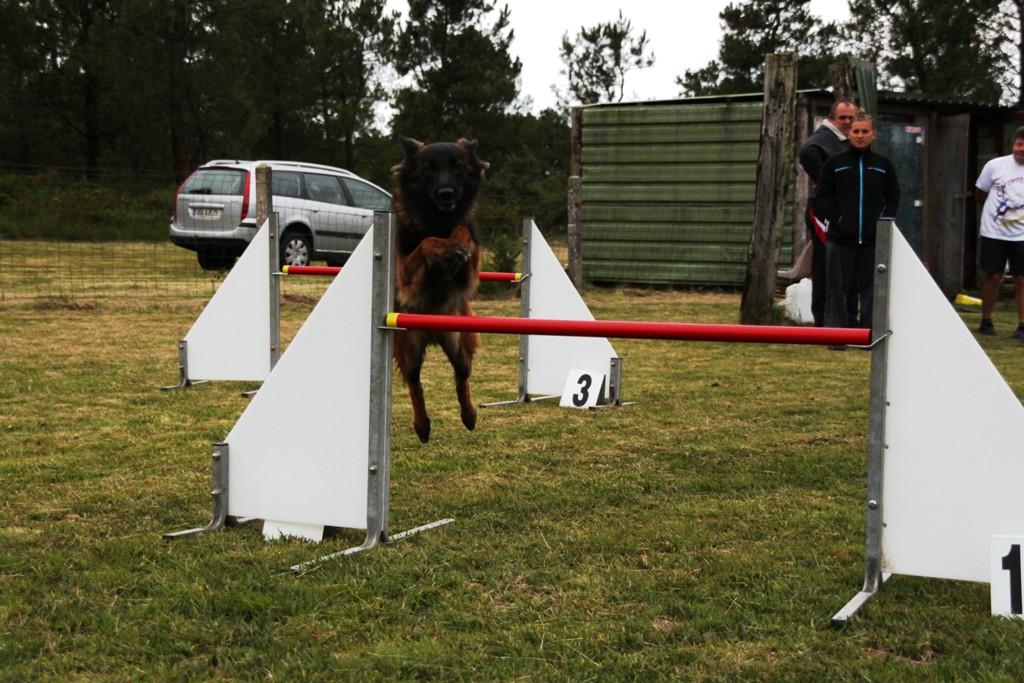 souvenirs-2014 JPG (343)