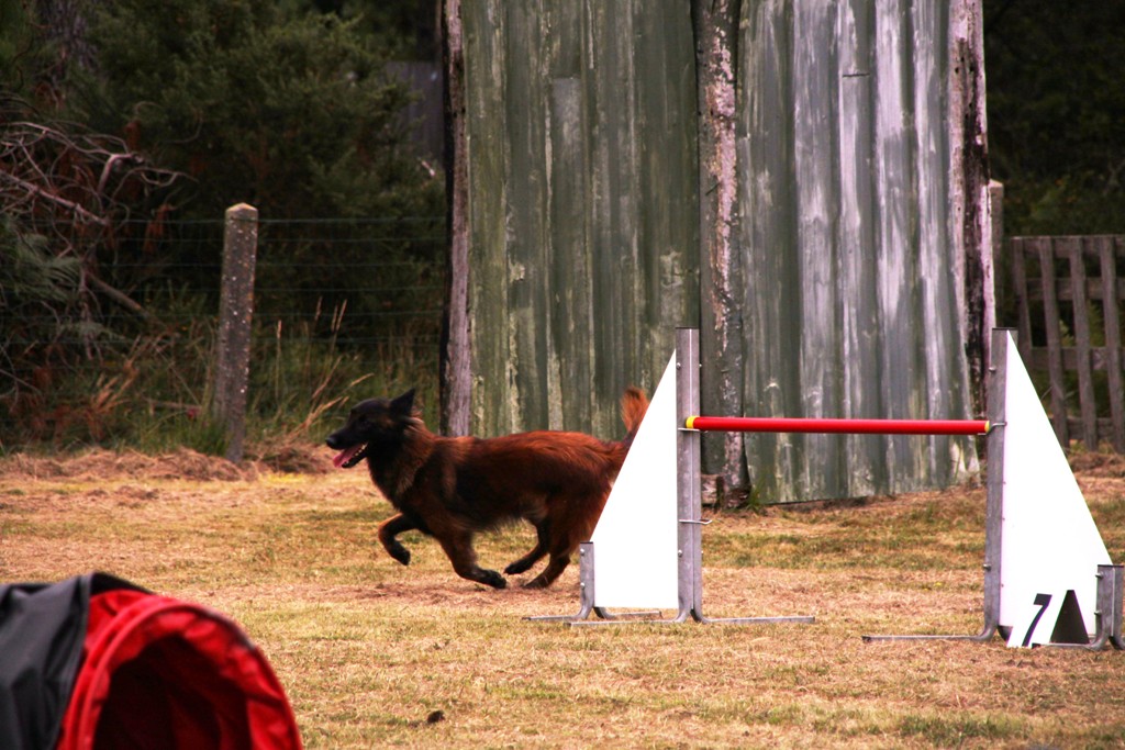 souvenirs-2014 JPG (344)