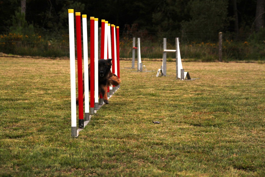 souvenirs-2014 JPG (345)