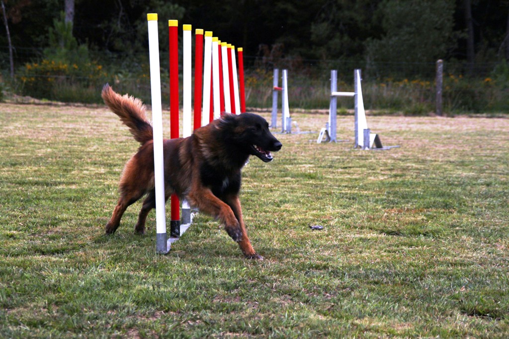 souvenirs-2014 JPG (346)