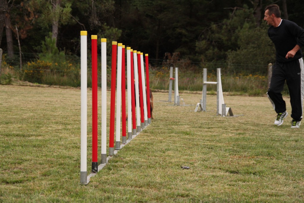 souvenirs-2014 JPG (348)