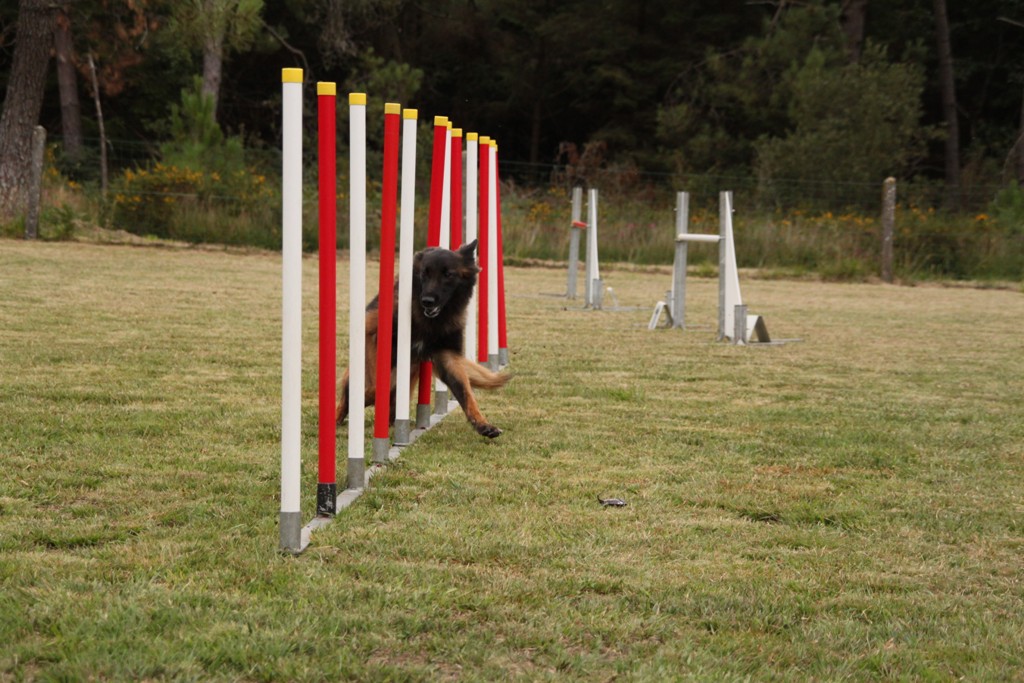 souvenirs-2014 JPG (349)