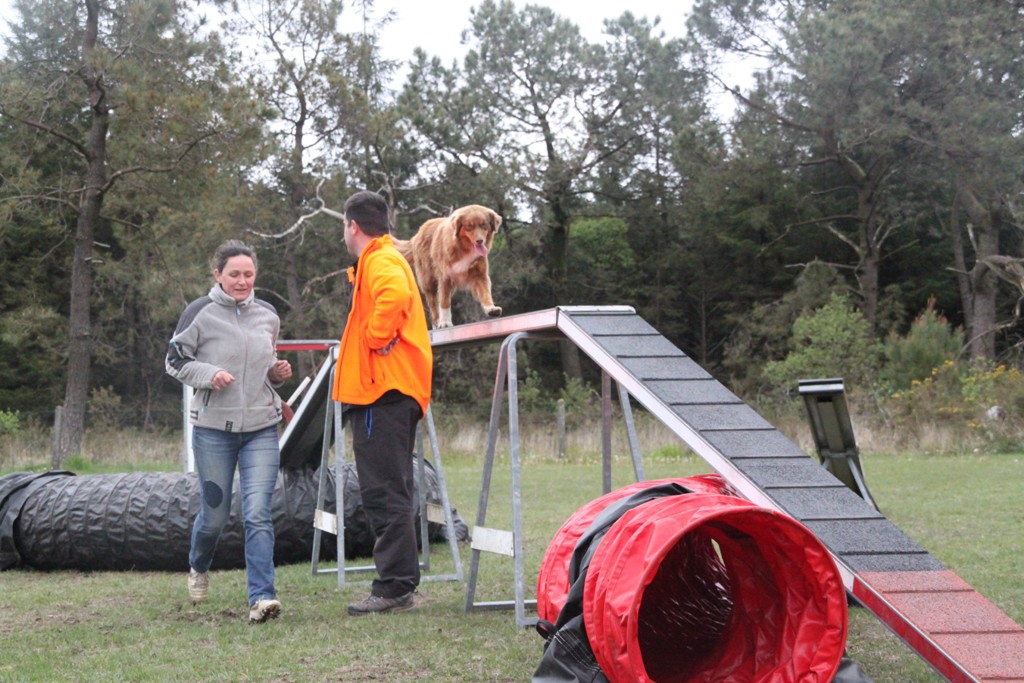 souvenirs-2014 JPG (35)