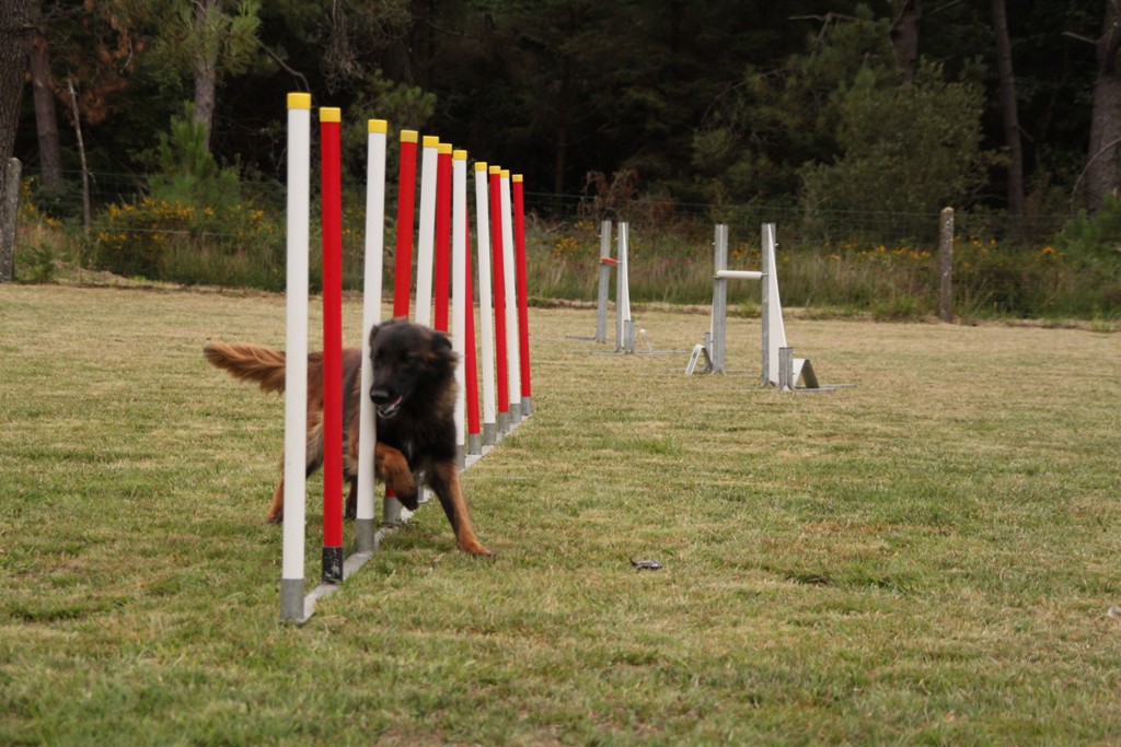 souvenirs-2014 JPG (350)