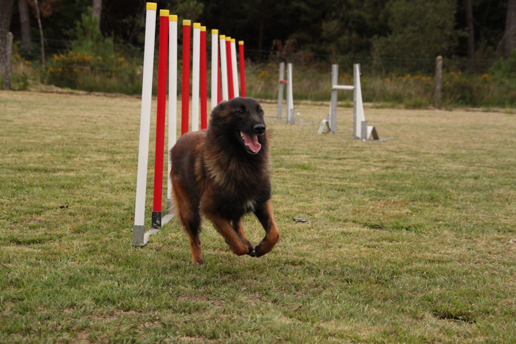 souvenirs-2014 JPG (351)