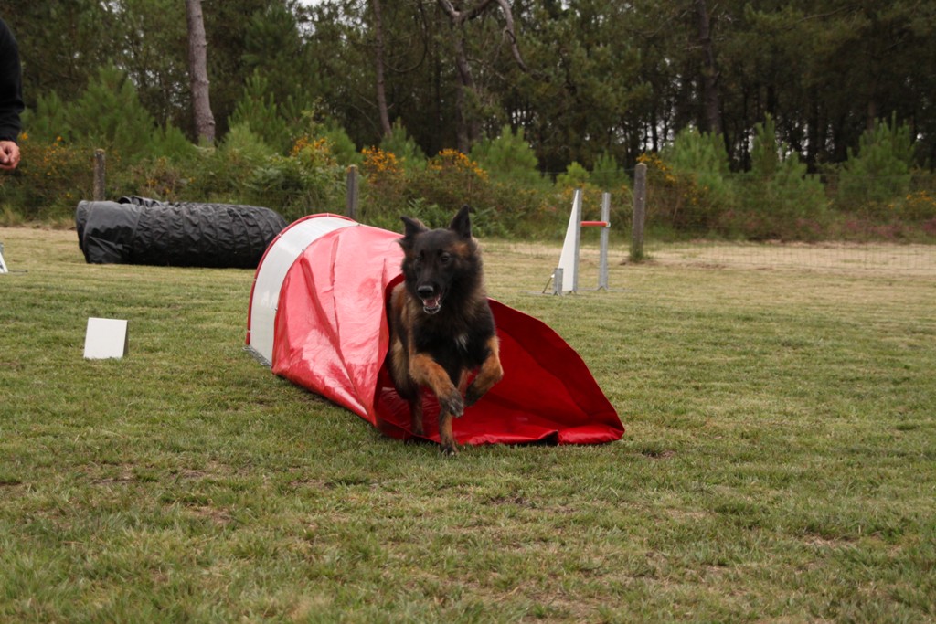 souvenirs-2014 JPG (352)