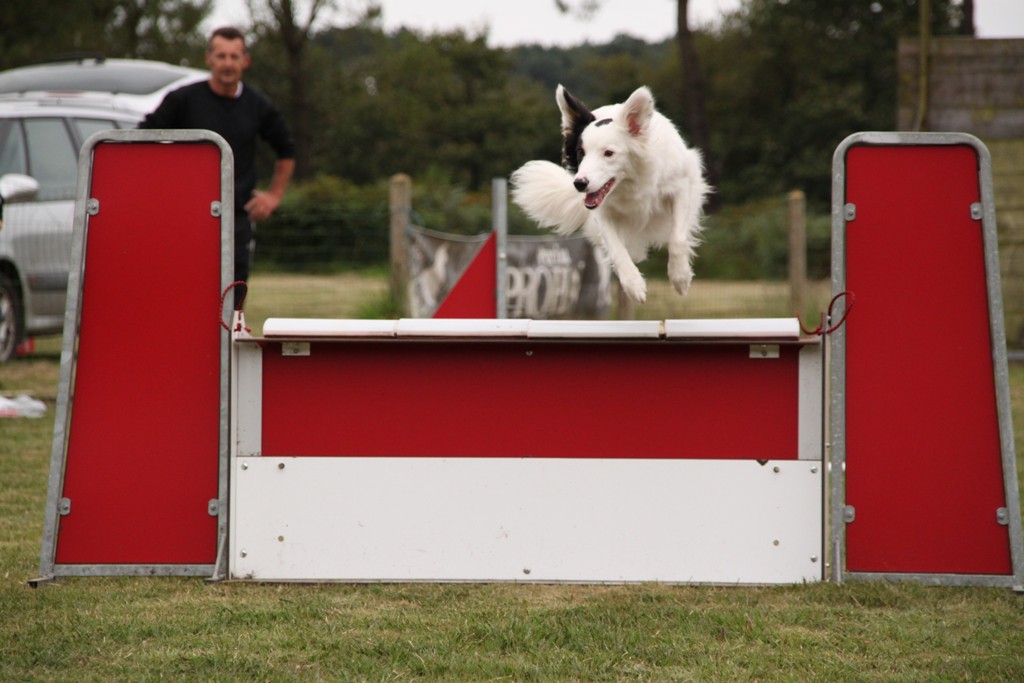 souvenirs-2014 JPG (353)