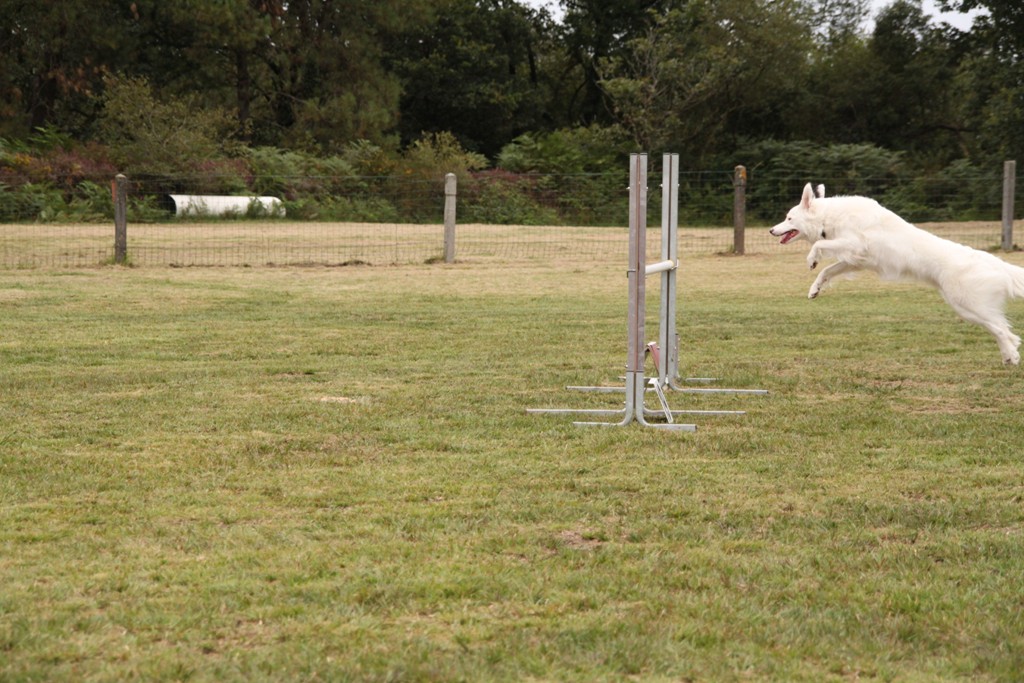 souvenirs-2014 JPG (360)