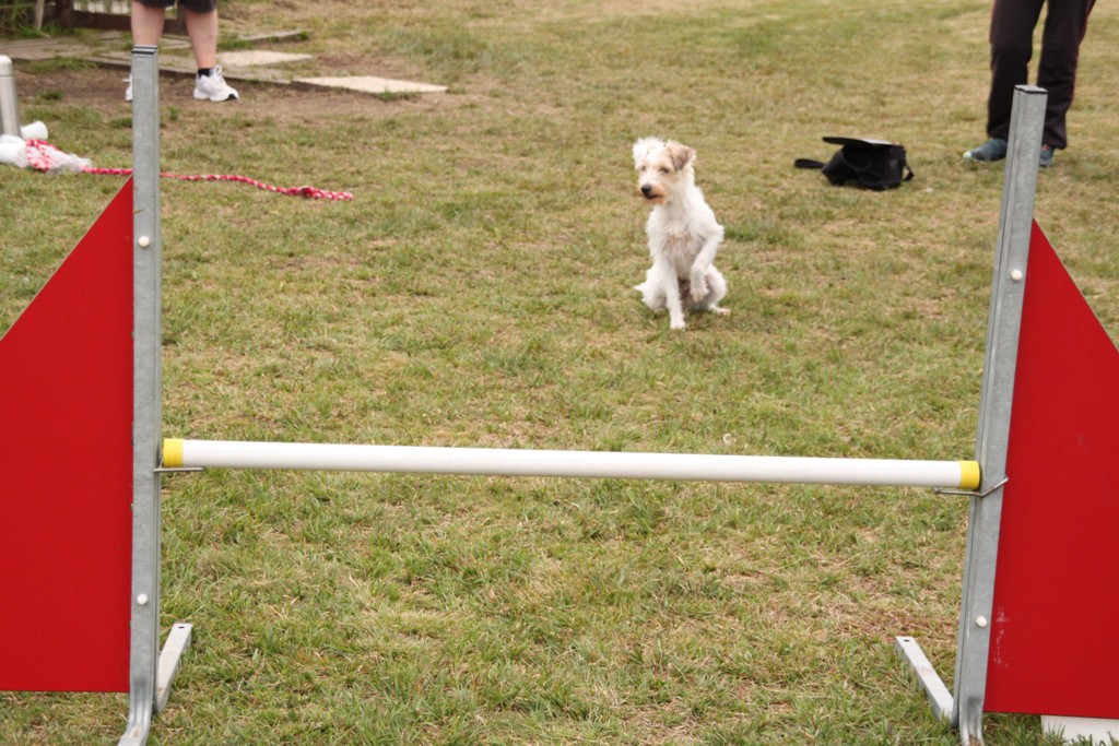 souvenirs-2014 JPG (361)