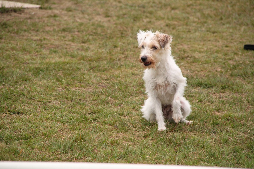 souvenirs-2014 JPG (362)