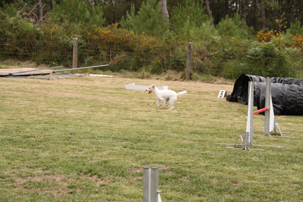 souvenirs-2014 JPG (363)