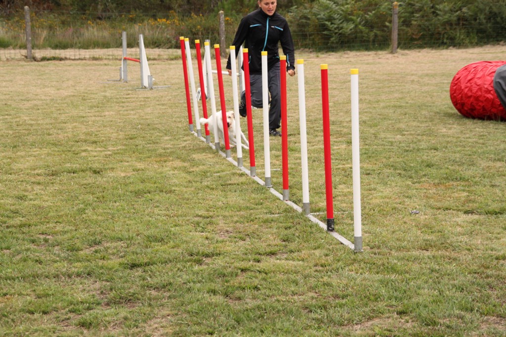 souvenirs-2014 JPG (366)