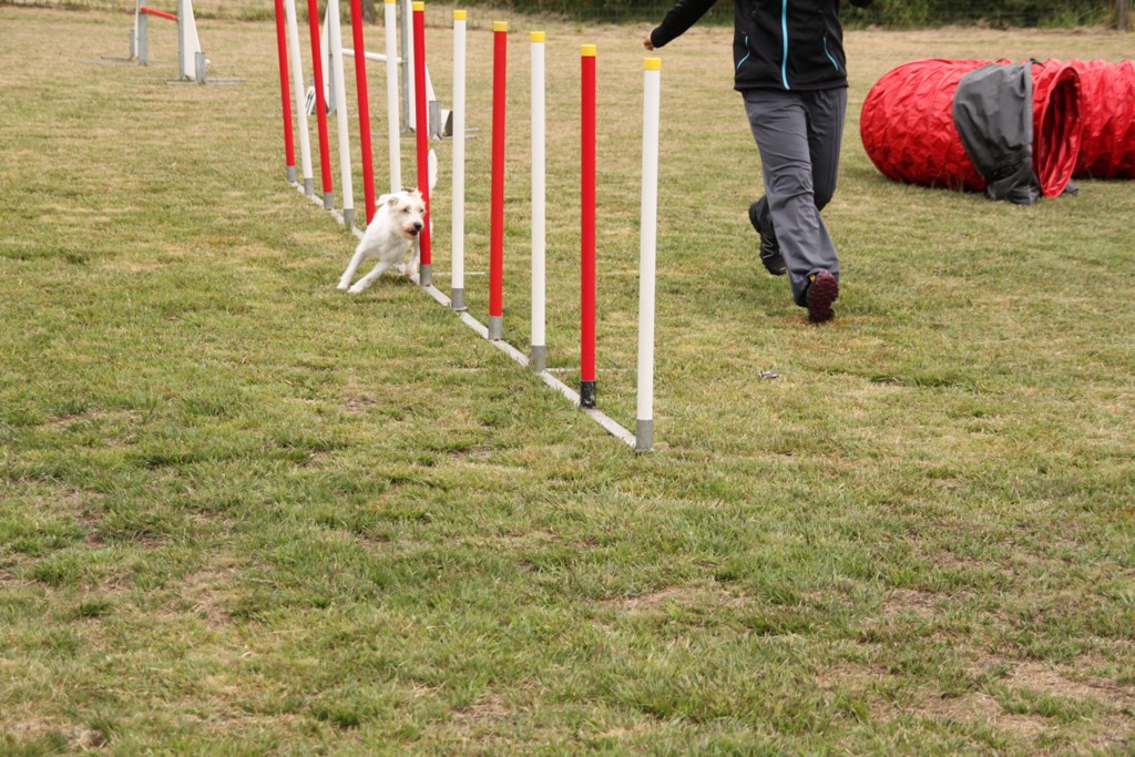 souvenirs-2014 JPG (367)