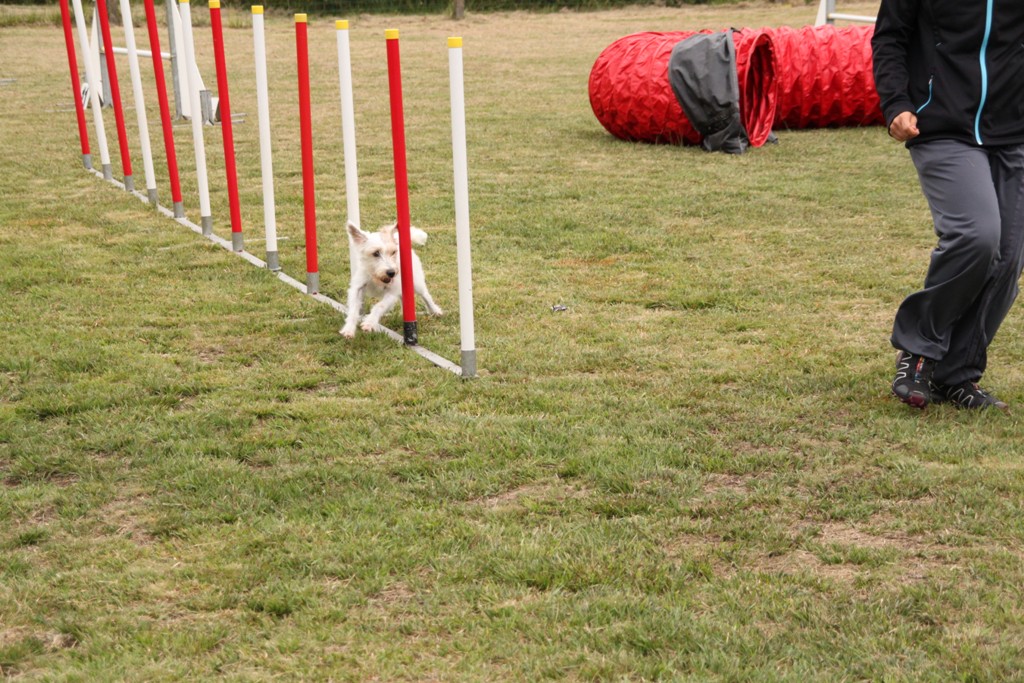 souvenirs-2014 JPG (368)