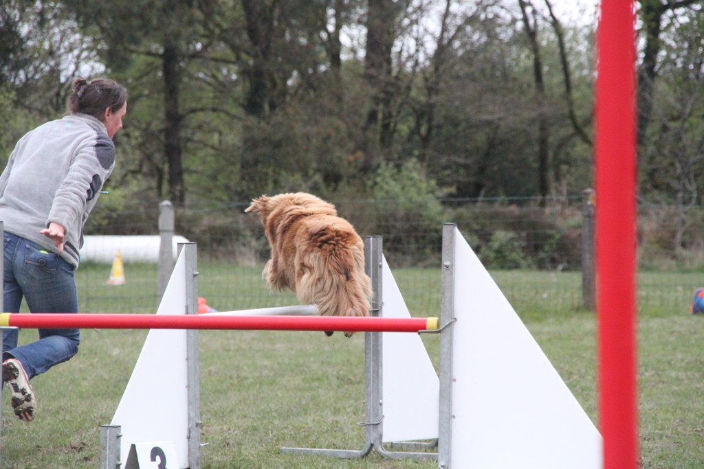 souvenirs-2014 JPG (37)