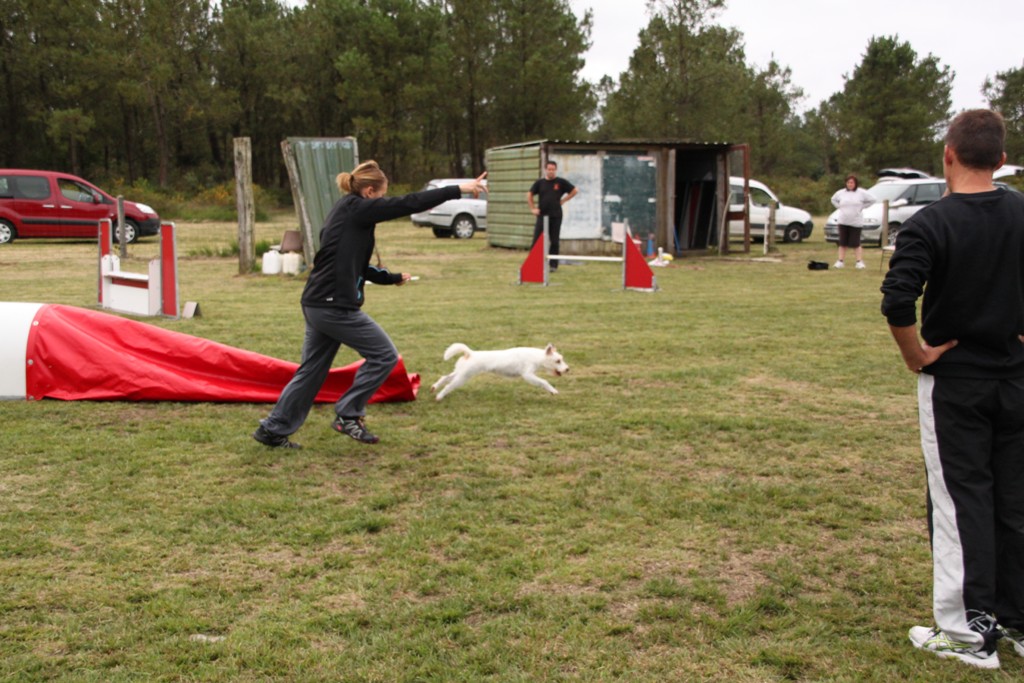 souvenirs-2014 JPG (372)