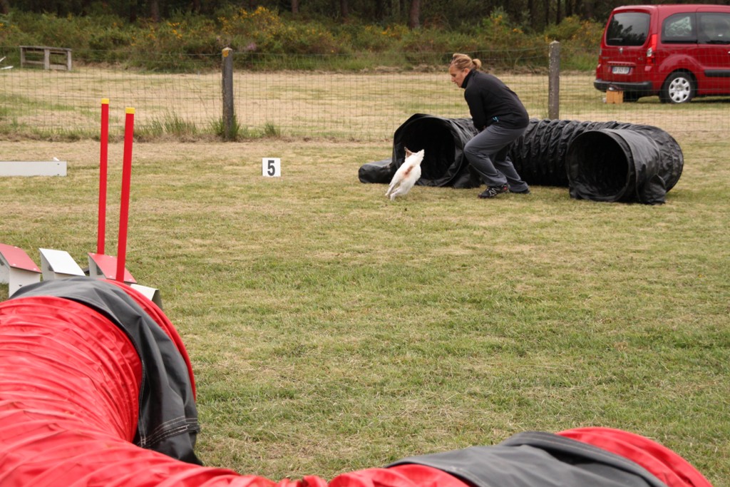 souvenirs-2014 JPG (376)