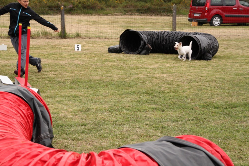 souvenirs-2014 JPG (377)