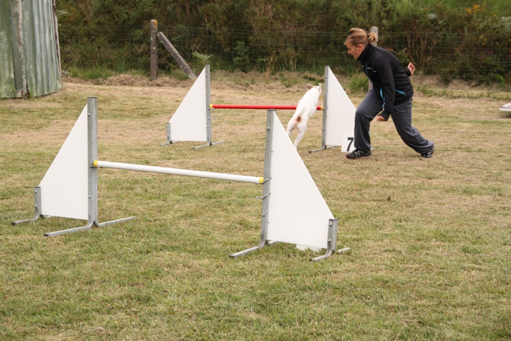 souvenirs-2014 JPG (378)