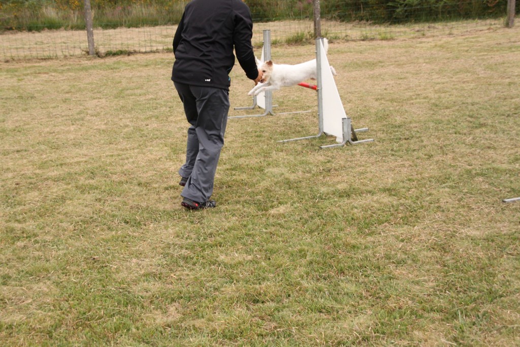 souvenirs-2014 JPG (379)