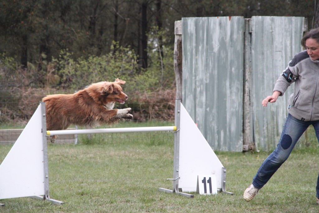 souvenirs-2014 JPG (38)