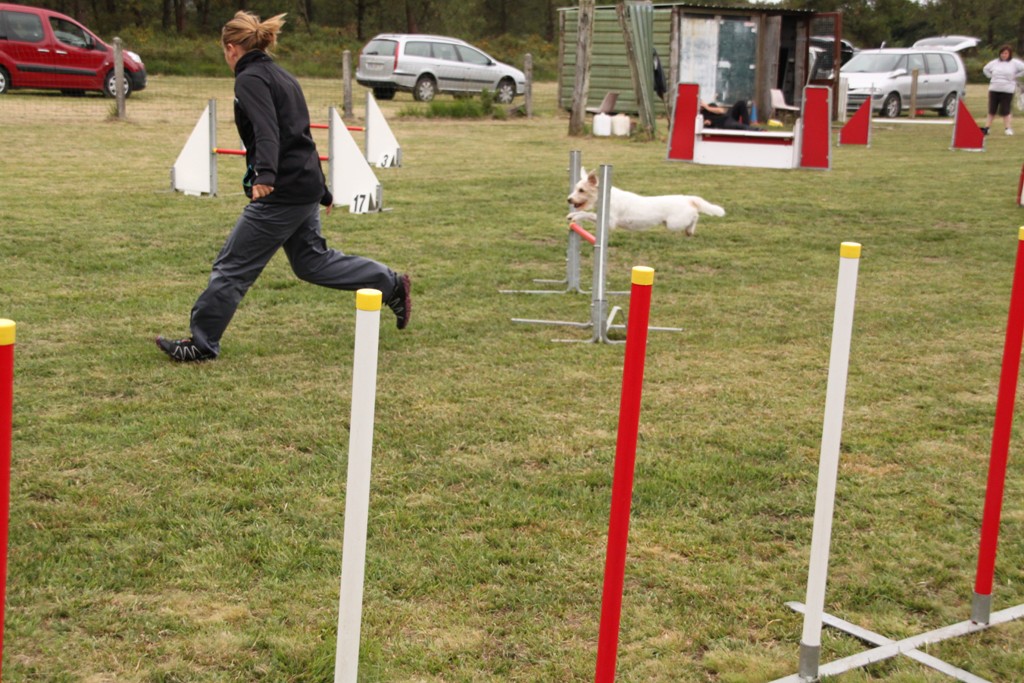 souvenirs-2014 JPG (380)