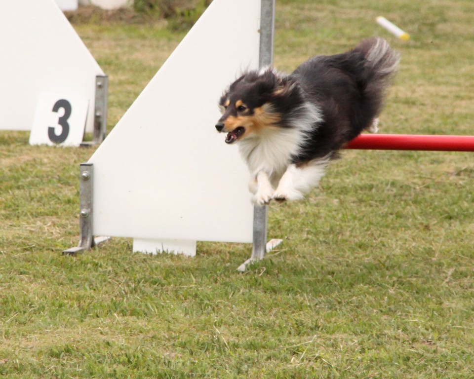 souvenirs-2014 JPG (384)