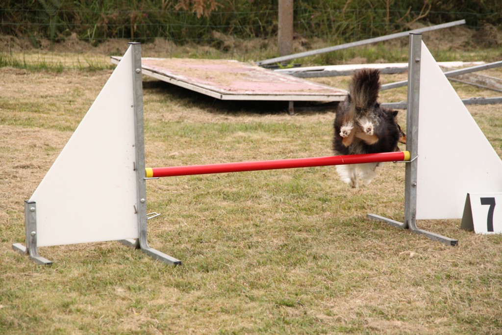 souvenirs-2014 JPG (386)