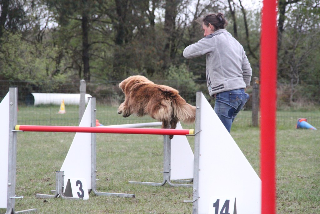 souvenirs-2014 JPG (39)