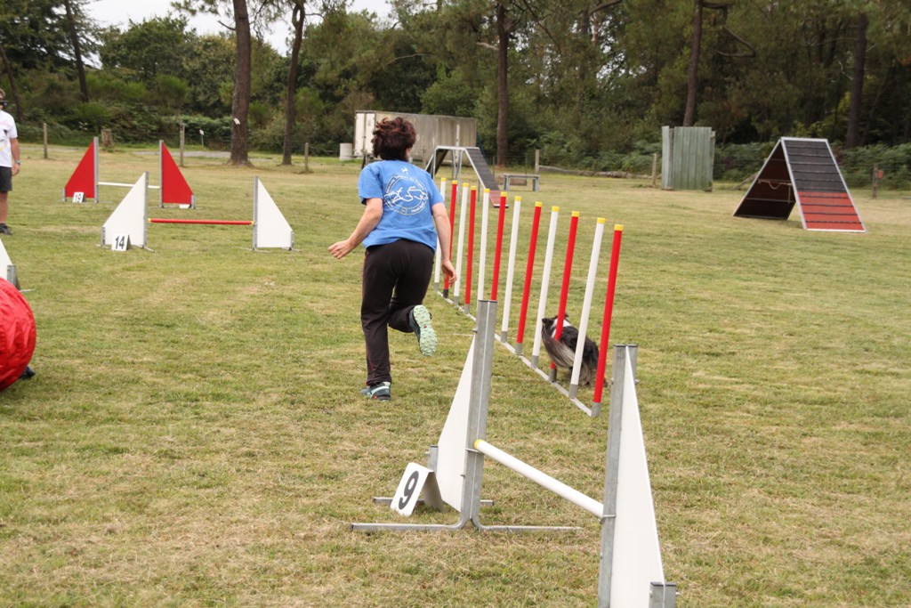 souvenirs-2014 JPG (391)