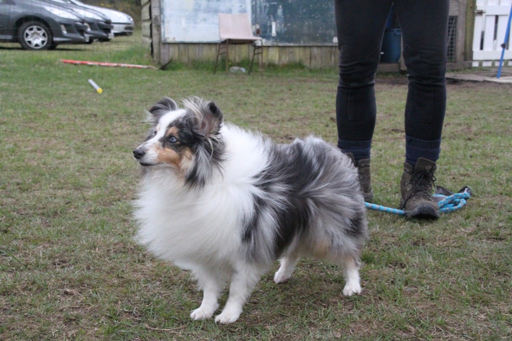 souvenirs-2014 JPG (4)