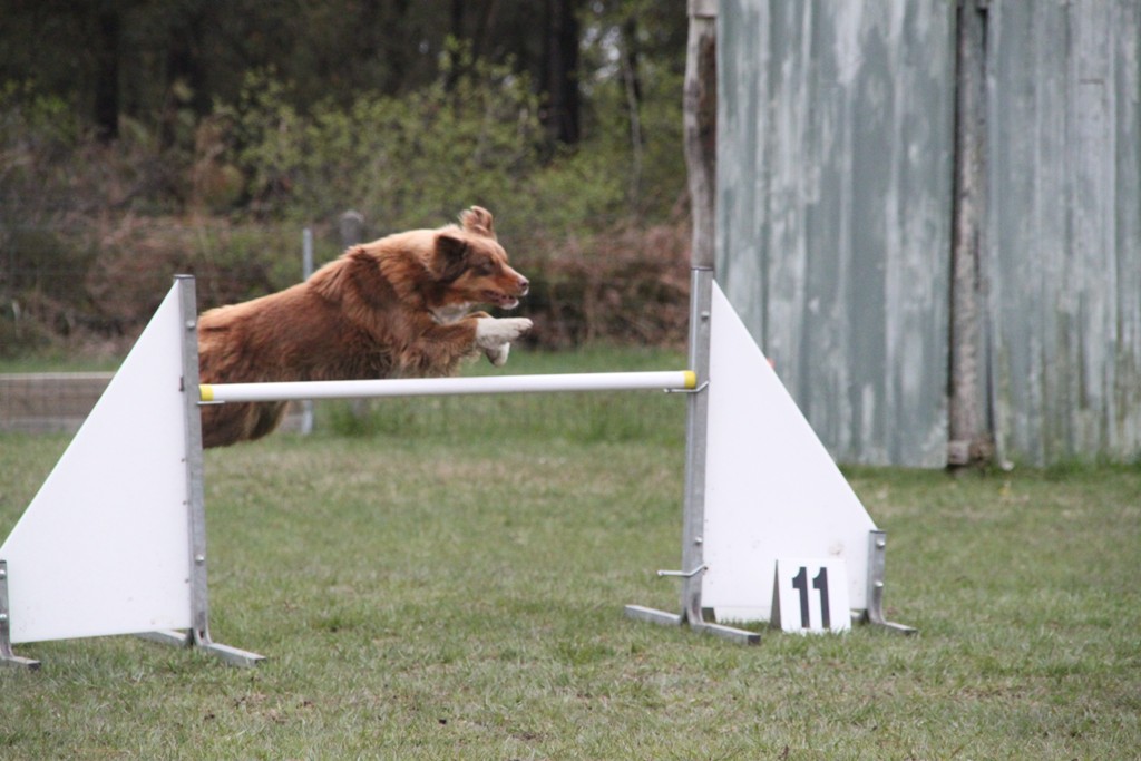 souvenirs-2014 JPG (40)