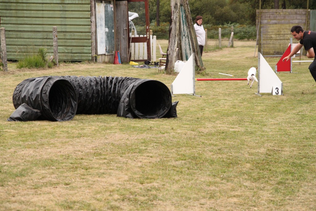 souvenirs-2014 JPG (400)