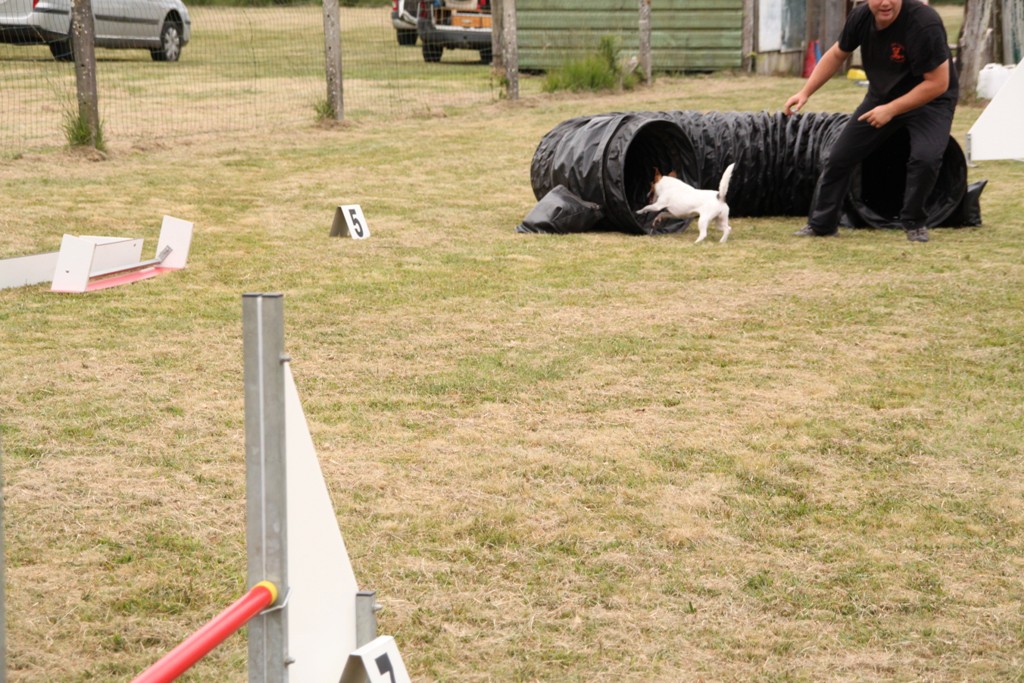 souvenirs-2014 JPG (402)