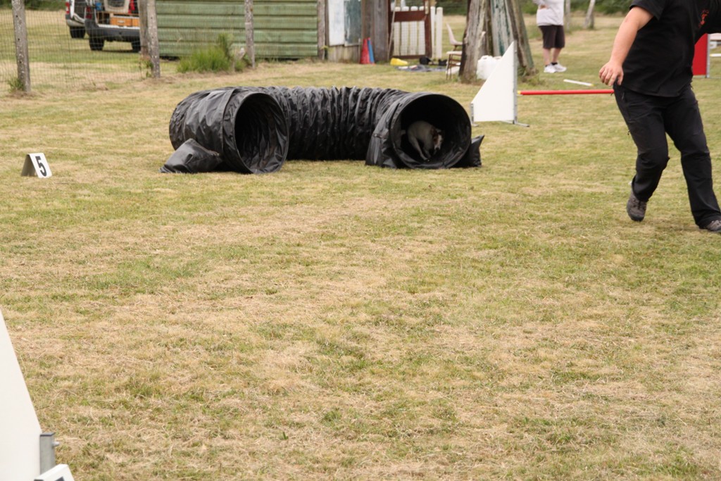 souvenirs-2014 JPG (403)