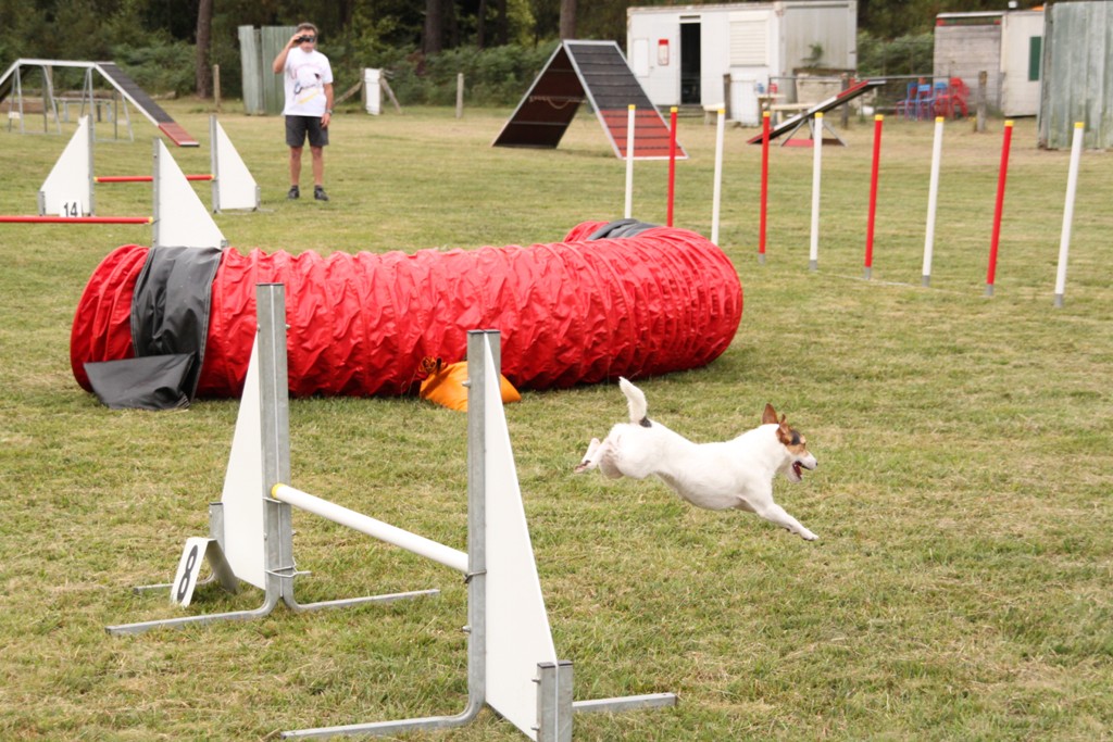 souvenirs-2014 JPG (404)