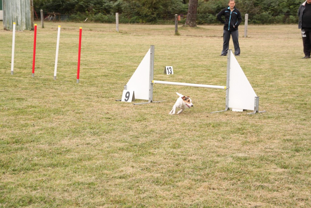 souvenirs-2014 JPG (406)