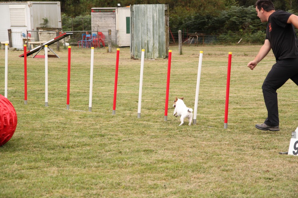 souvenirs-2014 JPG (408)