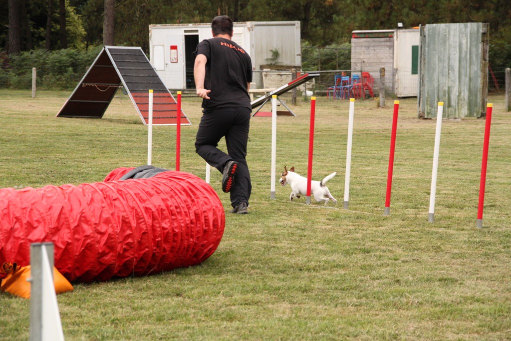 souvenirs-2014 JPG (409)