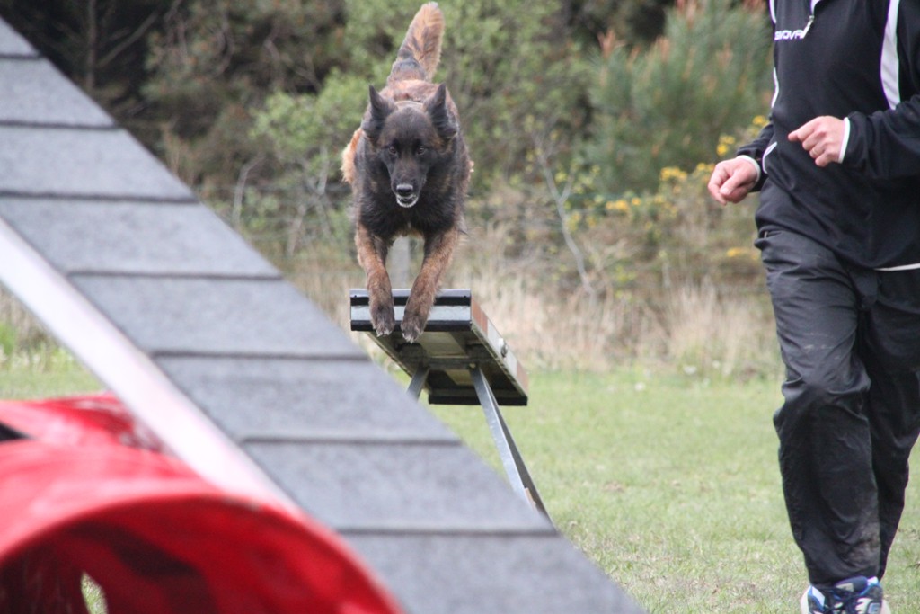 souvenirs-2014 JPG (41)