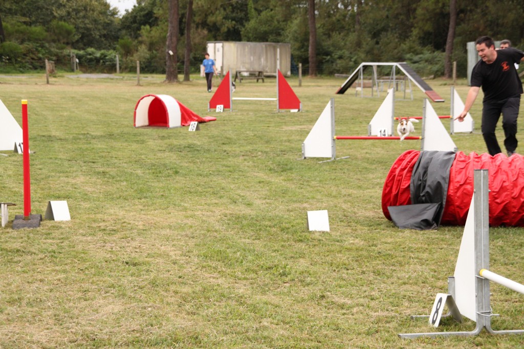 souvenirs-2014 JPG (413)