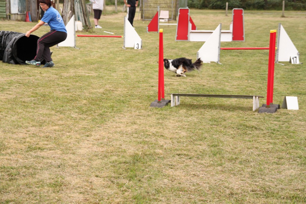 souvenirs-2014 JPG (419)