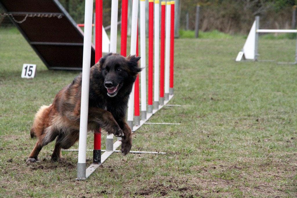 souvenirs-2014 JPG (43)