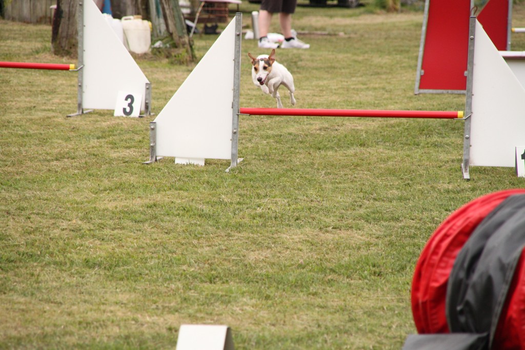 souvenirs-2014 JPG (435)