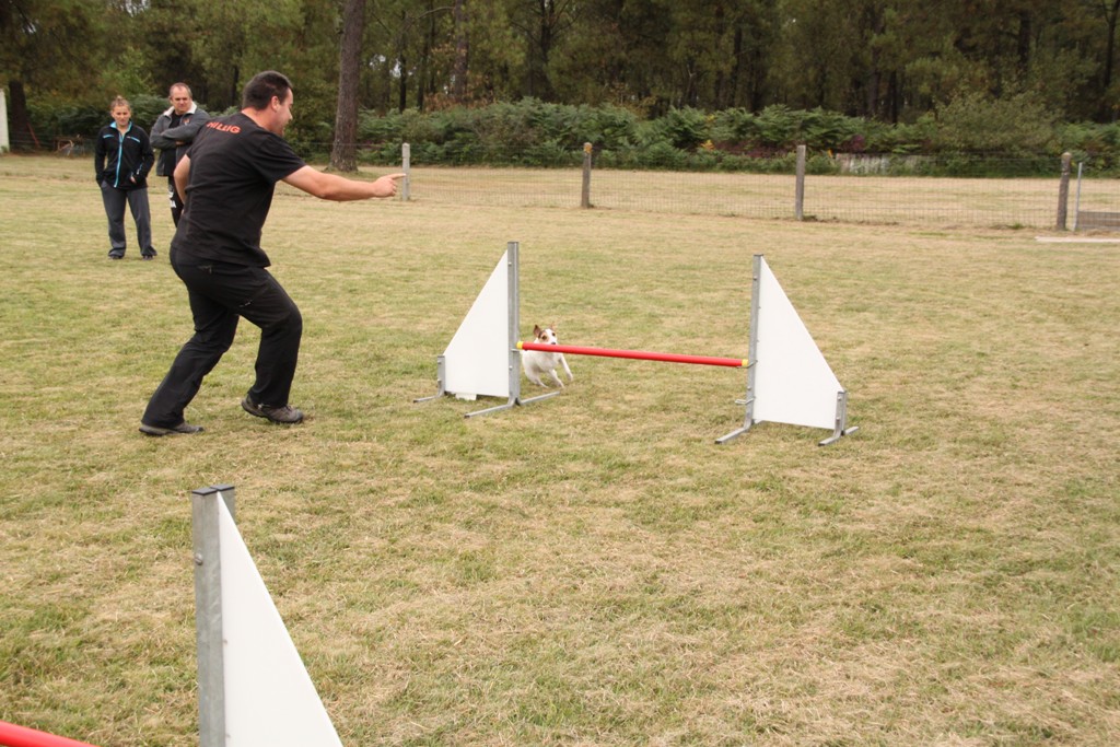 souvenirs-2014 JPG (436)