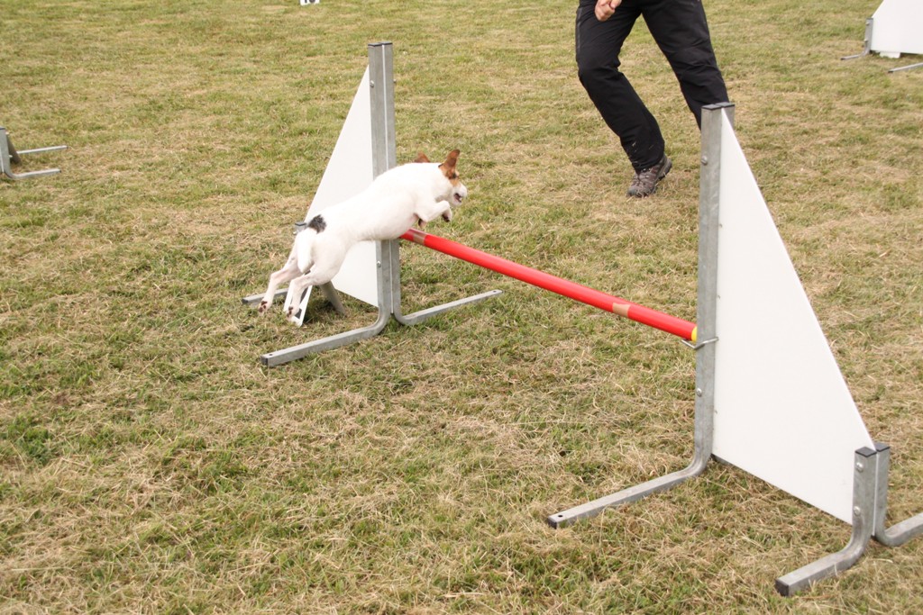 souvenirs-2014 JPG (438)